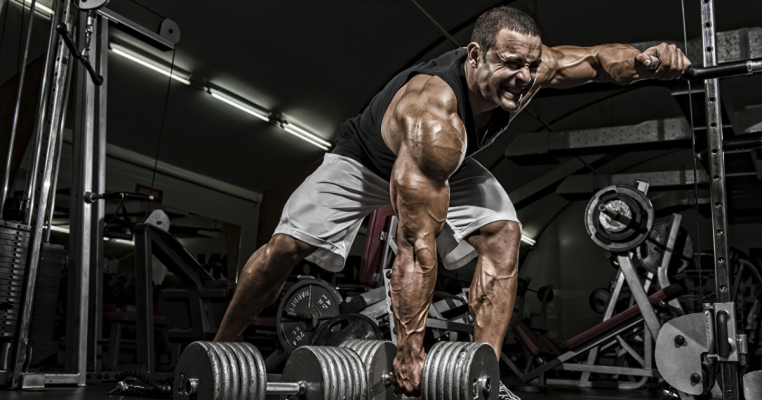 Top 5 Dụng Cụ Tập Gym Hot Nhất 2025 | DNG Sport 1